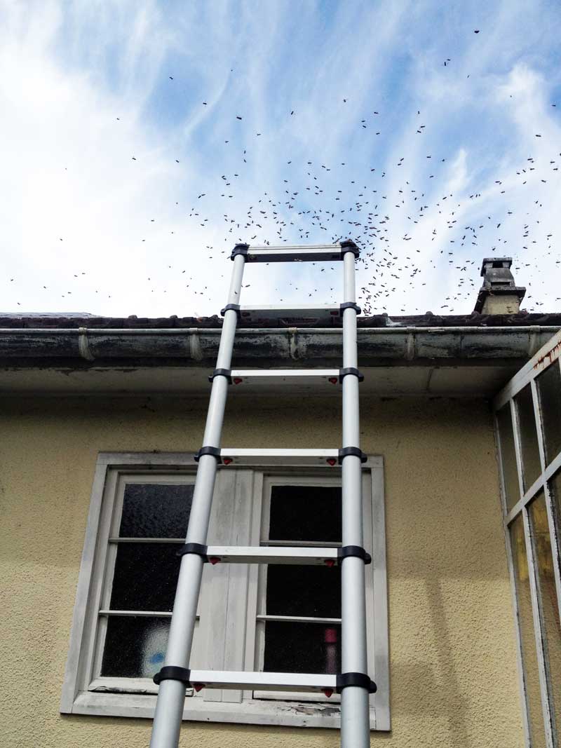 Technicien APIS préparant une intervention